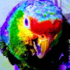 Meet your Posher, David